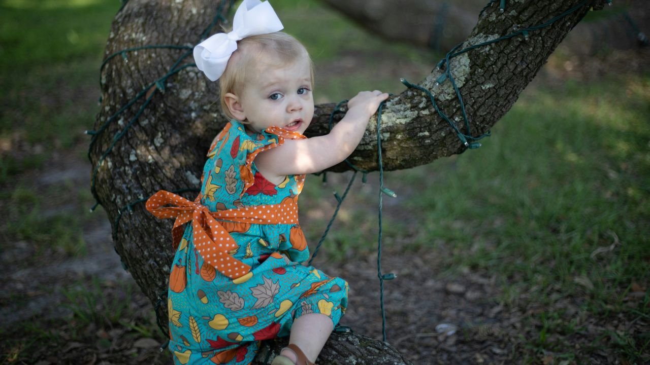 Ayarlanabilir huş ağacı öğrenme kulesi modelleri